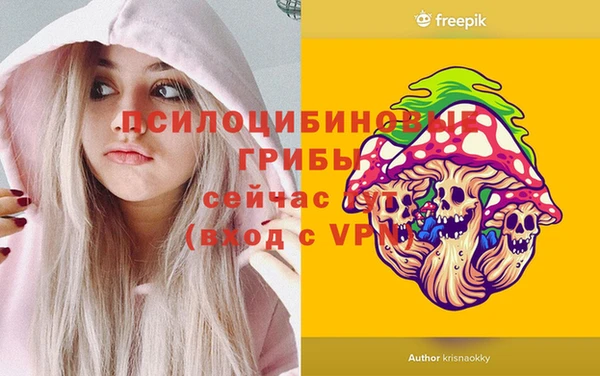 дурь Билибино