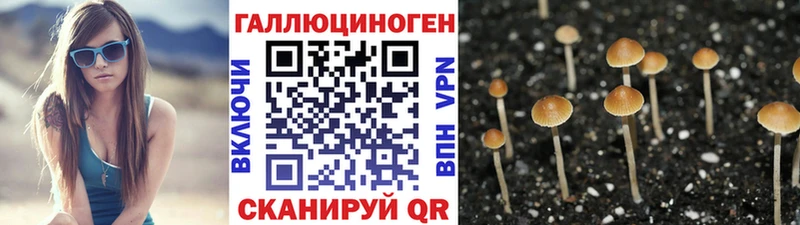 Галлюциногенные грибы Cubensis  Красноперекопск 