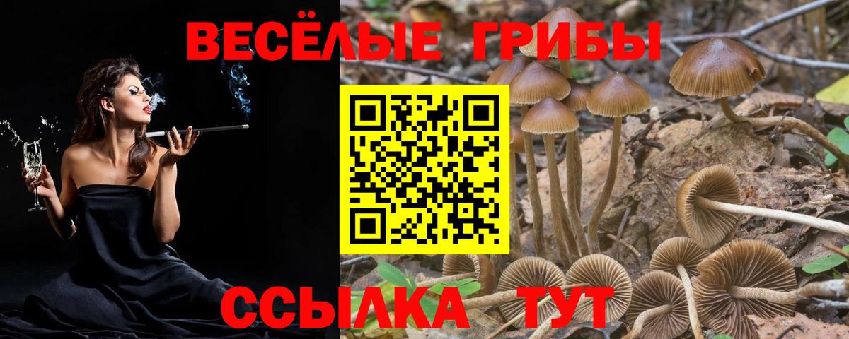 Красноперекопск  Псилоцибиновые грибы Cubensis  Вход с VPN  цена наркотик  Псилоцибиновые грибы прущие грибы 