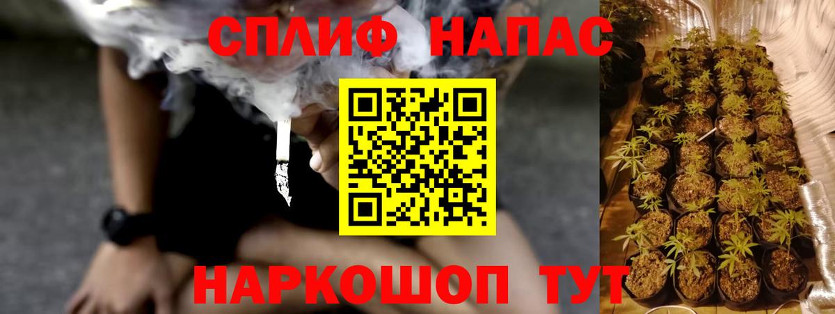 Бошки марихуана VHQ  Вход с VPN  Красноперекопск  Каннабис индика  Марихуана OG Kush 